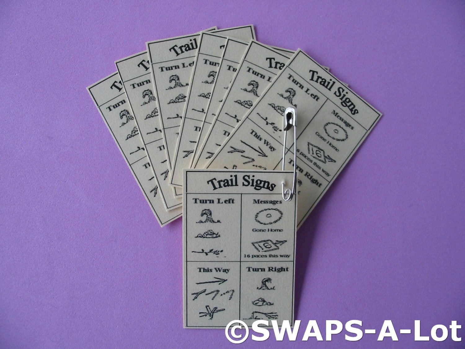 Mini Laminated Trail Signs Reference SWAPS Kit Girl Kids Scout makes 25