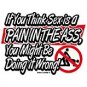 If You Think Sex is a Pain in the Ass You Might Be Doing it Wrong- Large