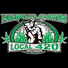 Marijuana Union Local 420- Large
