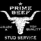 Stud Service- Medium