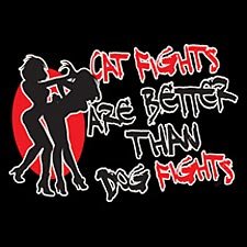 Cat Fights Are Better - Small