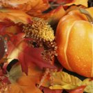 PUMPKIN CREME BRULEE