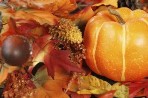 PUMPKIN CREME BRULEE