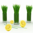 LEMONGRASS (BBW type)