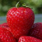 STRAWBERRY & BANANA