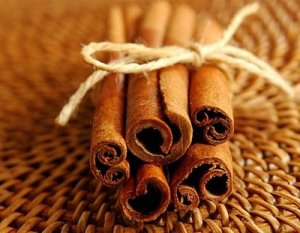 CINNAMON STIX (Yankee type)