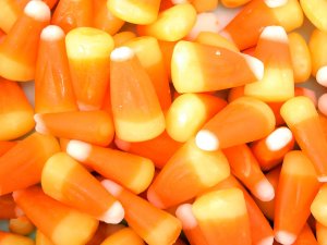 CANDY CORN (BBW type)