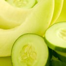 CUCUMBER MELON (BBW Type)
