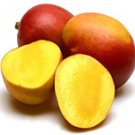 MANGO PARADISE