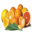 SAGE & CITRUS (BBW Type)
