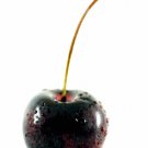 BLACK CHERRY (Yankee type)
