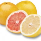 GRAPEFRUIT