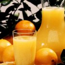FRESH SQUEEZED ORANGE