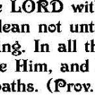 Vinyl Wall Art - Bible Verse "Trust in The Lord" 22"
