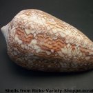 Conus - unclassified