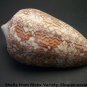 Conus - unclassified