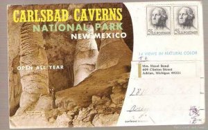 Carlsbad Caverns National Park NM Souvenir Folder
