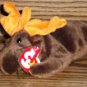 Ty Beanie Babies Chocolate the Moose NM with Tags