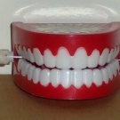Ja-Ru Chatter Teeth Greenbriar International Loose Used