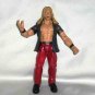WWF Titan Tron Live Chris Jericho Action Figure Jakks Pacific WWE Wrestling Loose Used