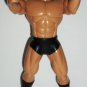 WWE 2005 Triple H Action Figure Jakks Pacific WWF HHH Wrestling Loose Used