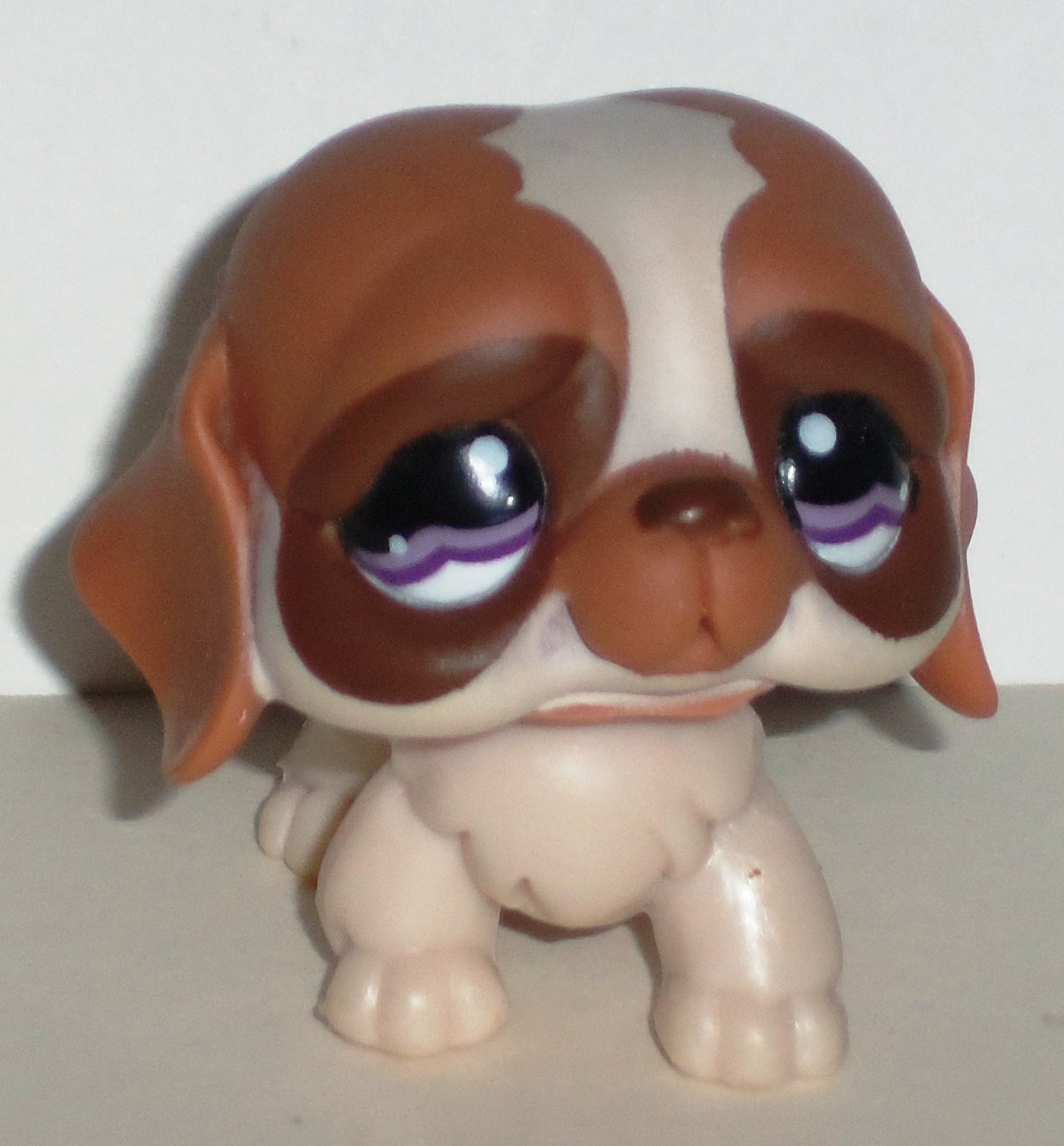 consenso Miedo a morir pobre Littlest Pet Shop #1118 Around the World St. Bernard Figure Hasbro Loose  Used