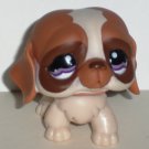 Littlest Pet Shop #1118 Around the World St. Bernard Figure Hasbro Loose Used