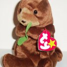 TY Beanie Babies Seaweed the Otter w/ Swing Tag 2002 Loose Used