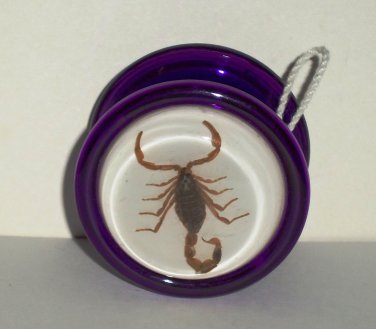 scorpion yoyo