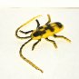 Yellow and Black Plastic Cockroach Figure Loose Used