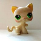 Littlest Pet Shop #98 Shorthair Cat Figure Kitten Kitty Hasbro 2005 Loose Used