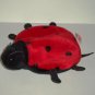 Ty Beanie Babies Lucky the Ladybug No Swing Tag Loose