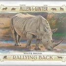 2021 Topps Allen & Ginter Rallying Back Card #RB-7 White Rhino