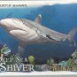 2021 Topps Allen & Ginter Deep Sea Shiver Card #DSS-15 Silvertip Shark
