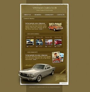 Flash Template #5872