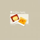 Flash Template #6003