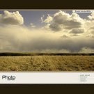 Flash Template #6008