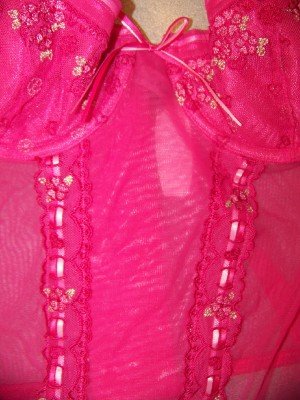 Victoria's Secret Corset/Bustier New With Tag