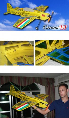 Remote Controlled Ready To Fly Katana EP 4 Channel 3D Airplane
