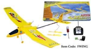 Beginner RC Plane-FlyWing Remote Controlled Training Plane Fwing --Sku #: Fwing