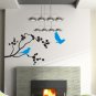 Blue Jays on a branch Wall Mural Decal Sticker Home Decor