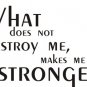 What Does Not Destroy Me Wall Quote Decal Sticker Art Graphic Inspiration Tattoo
