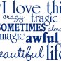 I love this crazy life Decal Sticker Wall Graphic Art Quote Love Wedding boy girl teen room modern