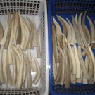 Antler Chew, small