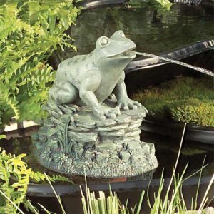 Frog Pond