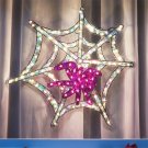 Lighted Seasonal Holographic Spiderweb