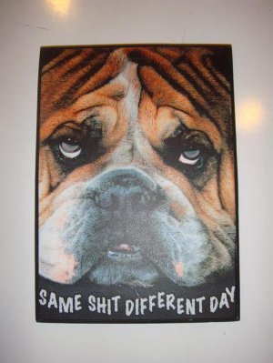 Dog wooden image