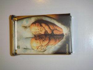 Gemini cigarette case