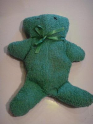 Bath Buddies: Green teddy bear