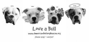 Youth Sm- Love a Bull t-shirt